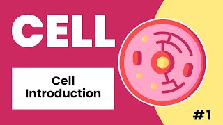 Cell Introduction  Hindi  Urdu [upl. by Saylor821]