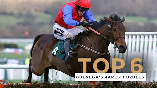 QUEVEGAS SIX MARES HURDLE WINS AT THE CHELTENHAM FESTIVAL [upl. by Giltzow479]