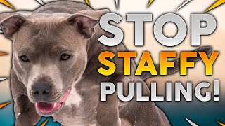 STAFFORDSHIRE BULL TERRIER TRAINING How To Stop Your Staffy From Pulling On Walks [upl. by Anair931]