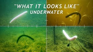 4 Wacky Rigging Methods  What it Looks Like Underwater [upl. by Uund]