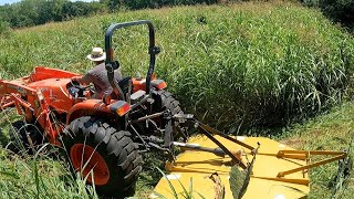 GRASS SO OVERGROWN I Couldnt Use A Regular LAWN MOWER [upl. by Ronnholm]