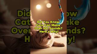 Did You Know Cats Can Make Over 100 Sounds Here’s Why [upl. by Billi]