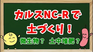 【堆肥作りが不要に】土壌改良資材 カルスNCRで土作り！ 土中堆肥化？ 生の有機物を活かした省力型 土づくり [upl. by Egon]