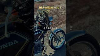 【CB125T】前回と違うところは？【jc06】 cb125tミニバブhonda [upl. by Assirral]