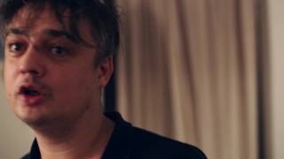 Pottoriginale 2  Peter Doherty  Teaser [upl. by Busch]