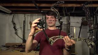 Best Compound Bow for Beginners [upl. by Leira]