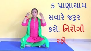 5 Most Important Pranayama Yoga  Yoga Gujarati  યોગ ગુજરાતી [upl. by Ahsikyw]