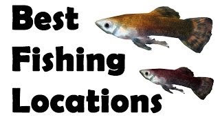 Skyrim best fishing locations All Fish Guide Part One [upl. by Feenah]