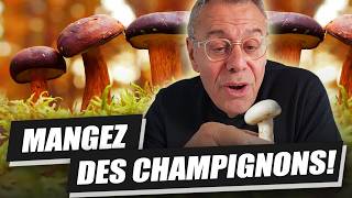 CHAMPIGNONS  LES SUPER POUVOIRS DES CÈPES CHAMPIGNON DE PARIS GIROLLES CEST MAGIQUE [upl. by Seaman998]