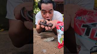 Run There are millipedes in the snacks shorts shortvideo viralvideo [upl. by Htnicayh]