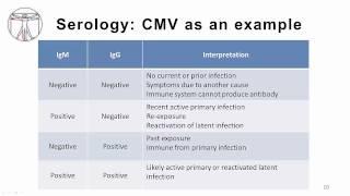 EBV Diagnostics [upl. by Iretak30]