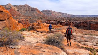 Backpacking the Grand Canyons Kanab Creek Wilderness 6 Day Jumpup Esplanade Loop Hike [upl. by Eirrot]