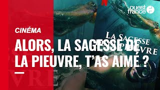 Alors le documentaire La sagesse de la pieuvre t’as aimé [upl. by Dyun]