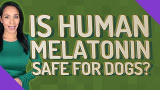 Is human melatonin safe for dogs [upl. by Leviralc]