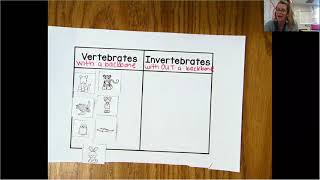 Vertebrates and Invertebrates Sort [upl. by Ingra]