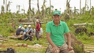 Coconut farming in the Philippines [upl. by Goodyear]