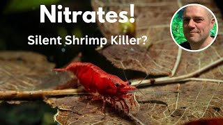 Red Cherry Shrimp and Nitrates Best Practices for a Thriving Shrimp Colony 🦐 [upl. by Llertnac]