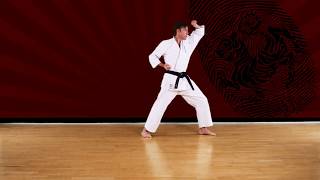 Age uke  Exercise 2  Online education  Shotokan KarateDo JKA [upl. by Luciano477]