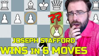 The Very First Stafford Gambit History Lesson [upl. by Eloci]