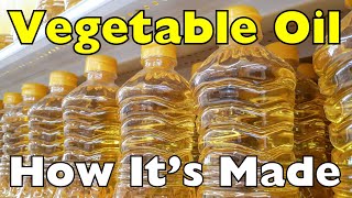 How Seeds Become Vegetable Oil [upl. by Adok]