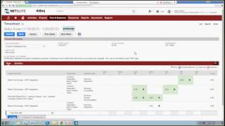 NetSuite SRP Timesheets Overview [upl. by Eivi559]