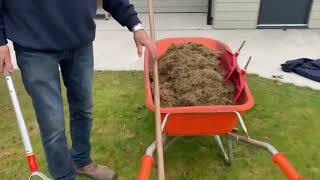 Lawn care first aid 2 Using a scarifying rake [upl. by Aiden918]