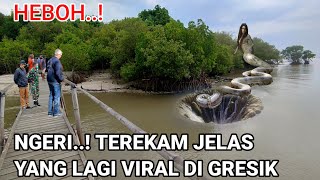 VIRAL PULAU JELMAAN ULAR LAGI VIRAL DI JAWA TIMUR [upl. by Iahcedrom104]