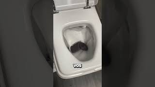 Ne plonge jamais ta tête dans ces toilettes en feu  🔥🚽😱 [upl. by Siroved]