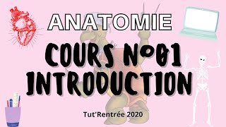 Anatomie  01  Introduction générale [upl. by Dolf]