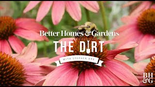 Plants That Support Pollinators  The Dirt  Better Homes amp Gardens [upl. by Denni]