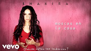 Shakira  Moscas en la Casa Official Audio [upl. by Eilatam]