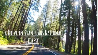 Driving in Stanislaus National Forest [upl. by Levitt]