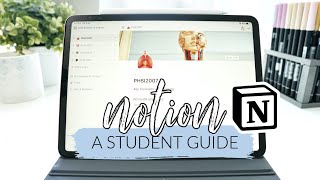 How I use Notion as a student  studycollab Alicia [upl. by Nasia]