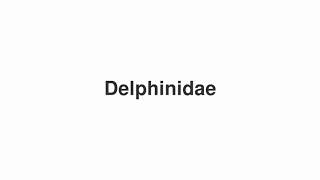 How to Pronounce quotDelphinidaequot [upl. by Ecined]