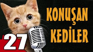 Konuşan Kediler 27  En Komik Kedi Videoları [upl. by Eibor]