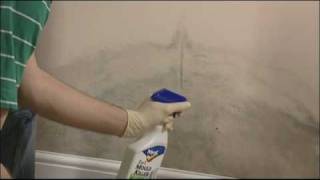 How to remove mould from walls and ceilings [upl. by Caesar]