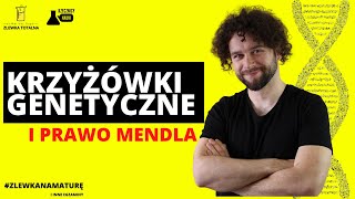 KRZYŻÓWKI GENETYCZNE I PRAWO MENDLA  Genetyka klasyczna Matura z biologii 2023 [upl. by Ennaesor]