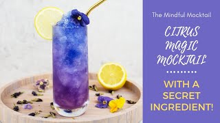 Citrus Magic Mocktail Recipe  Summer Mocktails and NonAlcoholic Cocktails  The Mindful Mocktail [upl. by Audly696]