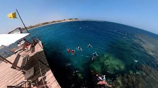 Royal Brayka resort Marsa Alam [upl. by Salahcin]