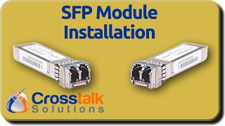 SFP Module Installation [upl. by Lucinda]