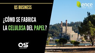 ¿CÓMO se FABRICA la CELULOSA del PAPEL con ENCE  QS BUSINESS 3 [upl. by Harrak]