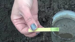 Analiza solului determinarea pHul cu hartia turnesol  Test soil pH with pH paper [upl. by Anitsyrhc268]