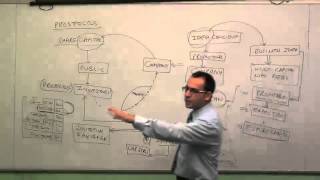 Company Law Lectures for CACSCMA Video  PROSPECTUS [upl. by Hephzipa]