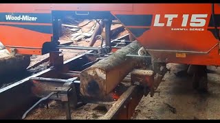 WoodMizer LT 15 saw mill  Incredible Homemade Lumber  satisfying video [upl. by Ecydnac]