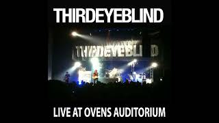 Third Eye Blind  Semi Charmed Life Live [upl. by Eecram]