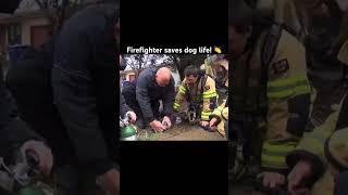 Firefighter saves dog life 👏 [upl. by Lenroc]