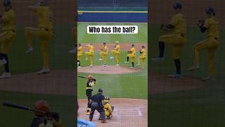 Hidden Ball Trick Pitch  Banana Ball shortssavannahbananastricktrickshotbananasmlbsportsball [upl. by Ylrehc]