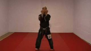 CASA DE KENPO  AMERICAN KENPO  LONG FORM 3 [upl. by Calen]