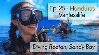 Ep 25  DIVING in Roatan Honduras [upl. by Yniatirb873]