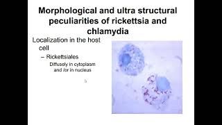 lecture 2 Different bacteria and fungi [upl. by Ajile974]